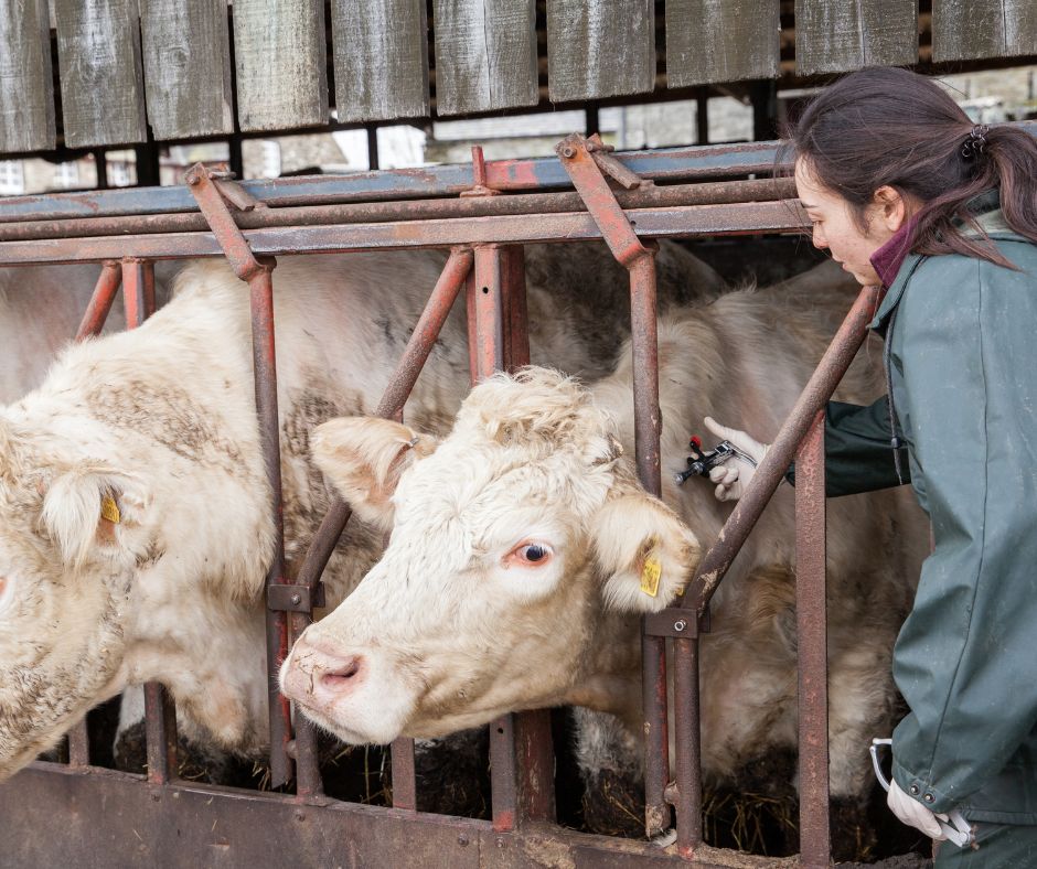 Future TB control must look back to go forward, says FUW