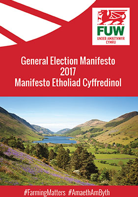 Image of manifesto 2017 cover